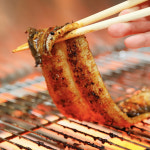 고창 민물장어 자포니카 풍천 꼼장어 바다장어 완전손질 소스2개 초생강포함 산지직송 : 골라담자 몰