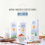 갓밀크 멸균우유 1L x 12팩 / 소비기한 2026.9,16일 : 믈레코아이러브