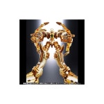 반다이(BANDAI) 슈퍼 로봇 초합금 창성의 아쿠엘리온 골드 솔라 아쿠엘리온 (혼마 웹 한정) : CASE by K