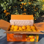 제주 서귀포 노지 감귤 4.5kg, 1개 : 마음꽃 귤농장