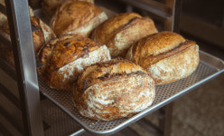 (유기농)뉴통밀50 사워도우 : 럭키베이커리