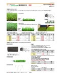케이앤비 준우 인조잔디(실내용) KBSMLPH-20 (1x4) : 토마토샵몰