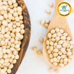 [지리산함양시장] 지리산상회 국산 백태(흰콩) 500g : 함양시장