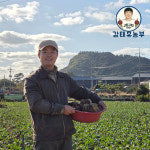 강태휴농부 제주직송 레드비트 특품 10kg : 강태휴농장