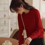 E VSEG 앱섹 몽골 캐시미어 100 라운드넥 풀오버 : 첸리