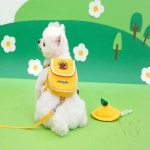 유치원 백팩하네스 세트 모자포함 강아지산책끈 강아지유치원가방 반려견산책줄 개줄 강아지끈 : MZ상점