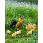 닭 대형 인테리어 개업선물 장닭 수탉 야외 소품 모형 오리 인형 킹사이즈 암탉 : 타오픽1004