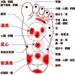 [국산・튼튼한 2절 첨부]아오타케 밟기 방충제·곰팡이 방지제 불사용 무도장 천연 대나무 그대로 밟아 : regalo shop