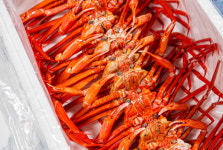 프리미엄 박달홍게 국내산 후포 구룡포 홍게 붉은대게 8kg, 1개 : 청년 어부왕