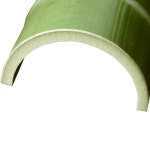 [국산・튼튼한 2절 첨부]아오타케 밟기 방충제·곰팡이 방지제 불사용 무도장 천연 대나무 그대로 밟아 : regalo shop