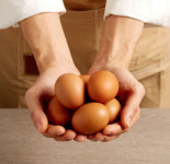 [한길양계] 무항생제 동물복지 방사유정란 계란 달걀 난각번호2번 해썹 유정란 : vaimi