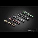 BIKERS BK-C0418-SLV ZX-25R 스크린 볼트, 스테인리스 스틸, 알루미늄, 6피스, 실버 orange gold : 삼우무역상사