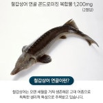헬씨허그 철갑상어 콘드로이친 1200 4개월 : 참사랑하우스