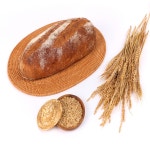 100% 통밀빵 우리밀 무설탕 식빵 자연발효 비건 샌드위치 식사 건강 : 광주 빵글빵글