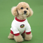 패리스독 피너츠 맨투맨 티셔츠 강아지옷 봄 가을 화이트 S : 르쁘띠숑