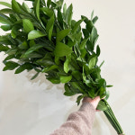 (중매인1호)(생화도매) 유스카스1뭉치 5단 생화 : 영남화훼농협 중매인1호