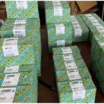 확장 모듈 PSR-SPP- 24DC/URM4/5X1/2X2/B 1442342 : 써리템벨