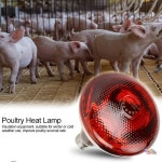 빨간색 투명 열 램프  가금류 농장 용품  E27 전구  파충류  돼지  닭  오리  식물 난방  220V : 미주에오