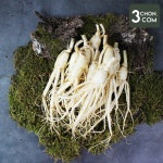 [금산직송] 황금농장 홍삼용 세척 난발삼/원삼 700g : 삼촌밥먹자