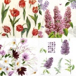 냅킨아트 전용 예쁜 냅킨 : 토탈공예