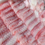 흑산도 국내산 숙성 삭힌 생 국산 홍어 회 삼합 2kg : 홍어파는언니