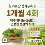 유러피안 샐러드 채소 믹스 (정기구독 1개월 4회 총4kg) : 리프팜코리아