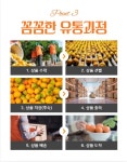(하라무)제주 타이벡 감귤 5kg 산지직송 새콤달콤 맛있는 고당도 귤 : 하라무