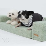강아지침대 밀크그린 강아지용침대 반려견소파 반려동물쇼파 펫방석 : MZ상점