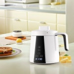 SUBADA Decar박시lation 푸드 프로세서 휴대용 주입기 기계 허브 식물 향신료 조절 가능한 시간 온도 : 미주나티