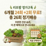 유러피안 샐러드 채소 믹스 (정기구독 6개월 24회+2회26회 총 26 kg) : 리프팜코리아