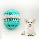 덴탈볼 M 토이칫솔 치석토이 장난감칫솔 치아장난감 치발기용품 : MZ상점