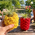 마크라메 파인애플 화분 만들기 키트 이오난사 식물세트 학생 어르신 : 달콩 마트