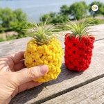 마크라메 파인애플 화분 만들기 키트 이오난사 식물세트 학생 어르신 : 달콩 마트