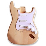 벡스기어 DIY 12 스트링 ST 스타일 일렉트릭 기타 키트 마호가니 바디 메이플 넥 제작 12 String ST : 자성아이