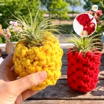 마크라메 파인애플 화분 만들기 키트 이오난사 식물세트 학생 어르신 : 달콩 마트