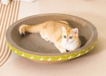 클로우케어 스트레스해소 고양이스크래쳐 소파 : 토마토상점단