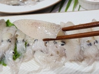 복복상회 당일조업 호래기 횟감용 요리용 연안호래기 500g : 복복상회