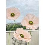 A 샴페인 플라워 포토존 1 자이언트 장미꽃 만들기 종이꽃 페이퍼 DIY [1 샴페인 장미꽃] : 나정이일