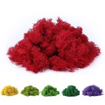 가짜 이끼 보존된 순록 99.2G(3.5온스) 화분 식물 예술 및 공예 테라리움 벽 장식 센터피스 요정 정원 결혼식 꽃 프로젝트용 (레드) 에메랄드... 