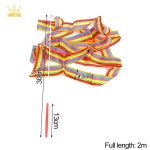 다채로운 리본 댄스 체육관 예술 체조 발레 꼬부기 막대 레인보우 훈련 2m 4m : 서원글로벌16