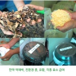 산들프레시 / 강변축산 자미유정란 [ 왕란 ] - 동물복지 난각번호1번 10구, 2개 : 산들프레시 오피셜