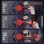 성인 및 14세 이상용 스마트 음악 펀칭백 실내 무술 훈련 장비 전자 타겟 벽 복싱 샌드백 : 반월스토어5
