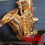 새로운 알토 색소폰 황동 전문가용 색소폰 알토 고품질 875EX 연주 악기 케이스 포함 : 헤븐하우스몰