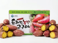 한끼채소 유쾌한농장 고구마 / 꿀고구마 국내산 겨울간식 아이간식 상중, 1.5kg, 1개 : 한끼채소