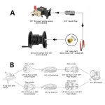 나이나이 압력 세척기 채찍 호스 10피트, 릴 커넥터 호스, 3/8인치... 강철 와이어 브레이드 파워 32 F-248 F 냉온수 점퍼 4200PSI : H글로벌3