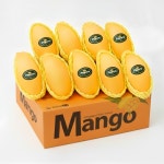 베트남 프리미엄 고당도 골드 망고 2.5kg 5kg : 사자벅스