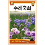 야생화씨앗 - 수레국화 (1g) : 주 조이가든센터