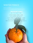 주식회사 부방대마켓 | 윈터프린스(환타맛) : 부방대마켓