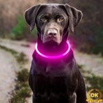 애완 동물 강아지 LED 라이트 칼라 빛나는 분실 방지 개 목걸이 USB 충전식 : 트레이드셀62
