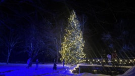 삿포로 비에이 1일버스투어 크리스마스나무 흰수염폭포 청의호수 마일드세븐 늦은출발 최소인원X : 주식회사 케이투어스토리